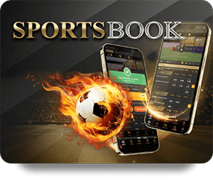Bài poker trực tuyến: Mẹo quản lý vốn khi chơi an toàn